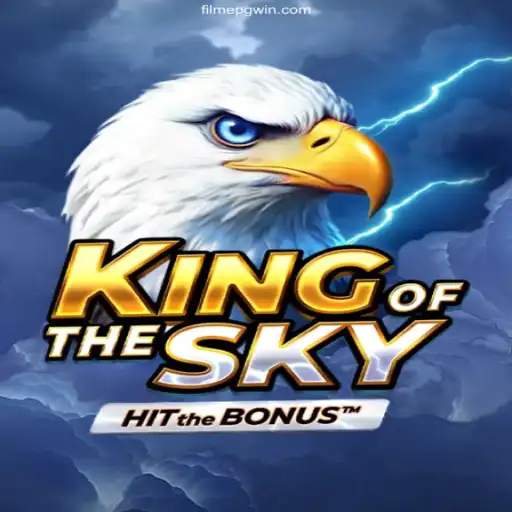 Discover the Thrilling World of KingOfTheSky: A Detailed Exploration